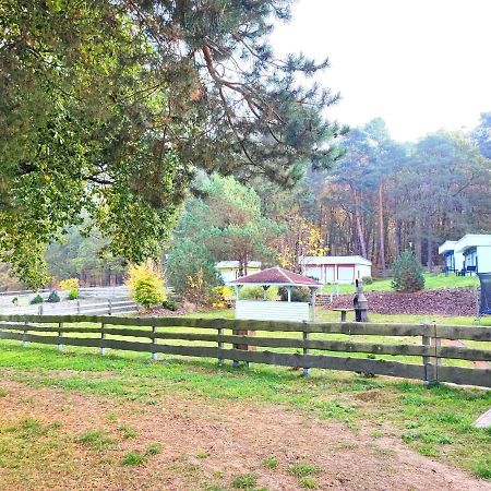 Tiny House Ueckeritz Villa Екстериор снимка